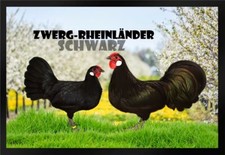 Fußmatte Hühner Zwerg Rheinländer schwarz F1275