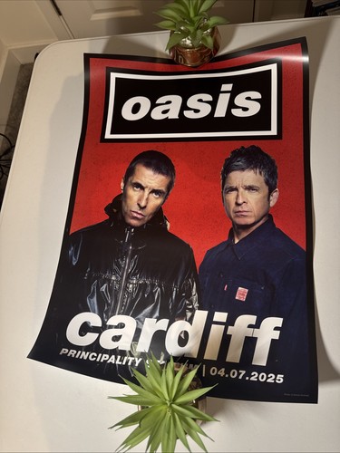 Oasis live official tour - oasis,