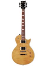 ESP LTD EC-256 VN E-Gitarre -