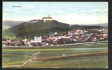 Ansichtskarte Nepomuk, Panoramablick auf den Ort 