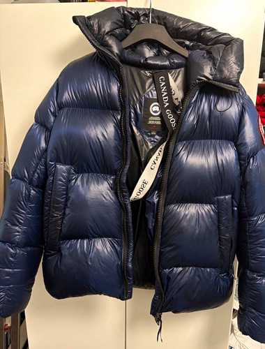 Canada goose crofton - goose,