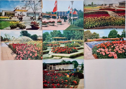 Ddr postkarten lot - lot, 7