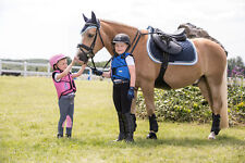 Panel-Sicherheitsweste