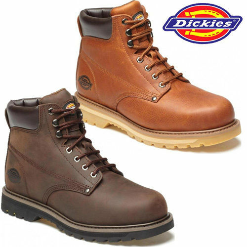 Dickies nicht - dickies,