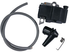 Elektronische Zündung