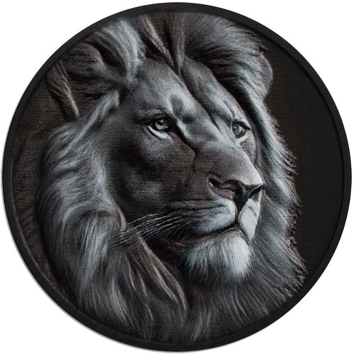 Black and white lion - white, lion: