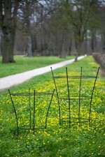 Staudenhalter Schwarz H: 60/85cm Lieferung im Stück Strauchhalter Rankgerüst