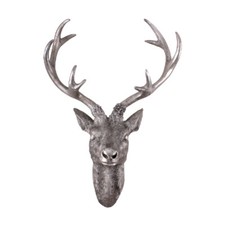 Hirschgeweih Hirschkopf