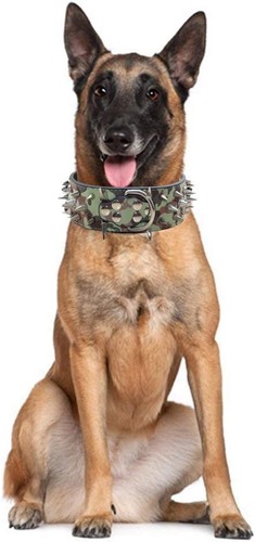 Hundehalsband mit spitzen