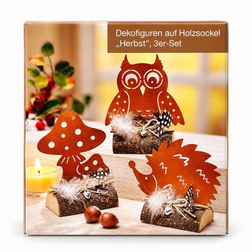 Weltbild herbstdeko 3er set - herbstdeko,