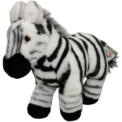 Nature planet zebra - nature,