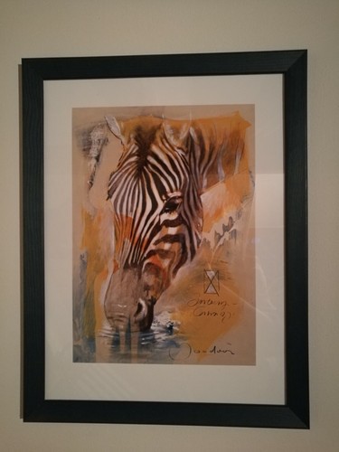Zebra bild mit blauen rahmen - zebra,