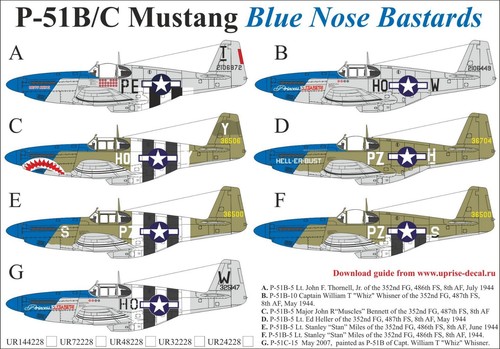 Decal 51b c mustang - 1:32,