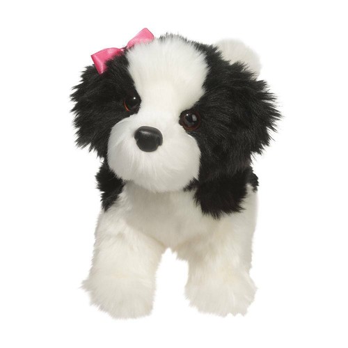 Shih tzu poofy - "poofy", hund