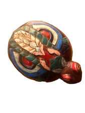 Alte Schildkröte aus