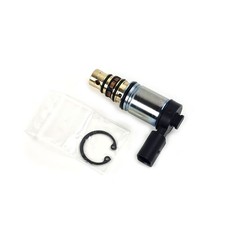 Sanden Klimakompressor