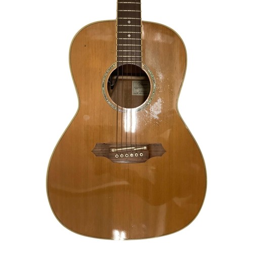 Takamine ptu410n nylonsaite - takamine,