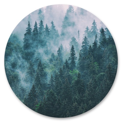 Sticker rund bäume nebel - rund,
