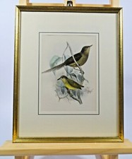 Lithographie handkoloriert