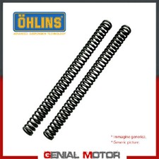 Ohlins Fork Federn FORK