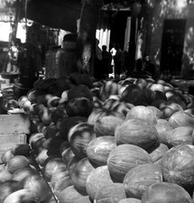 Altes Foto Negativ 6x6