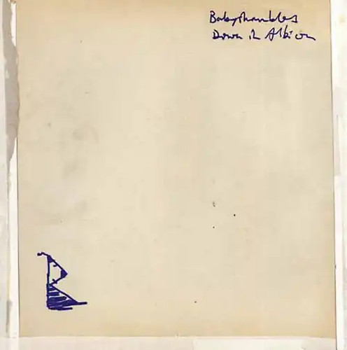 Babyshambles down in - down, albion