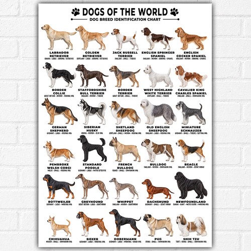 Hunde der welt poster - hunde,