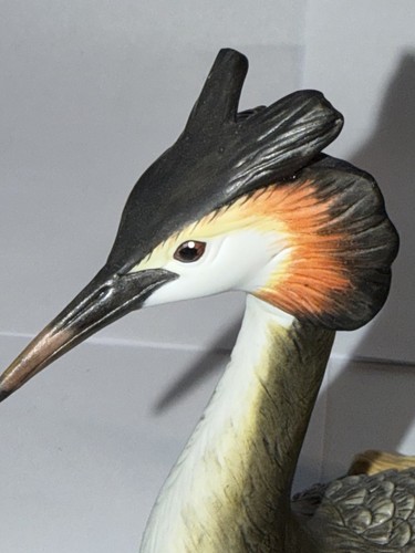 Goebel haubentaucher vogel des - goebel,