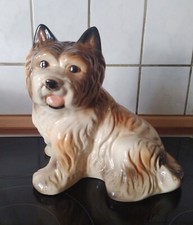 Brauner Hund - Westie Hund -