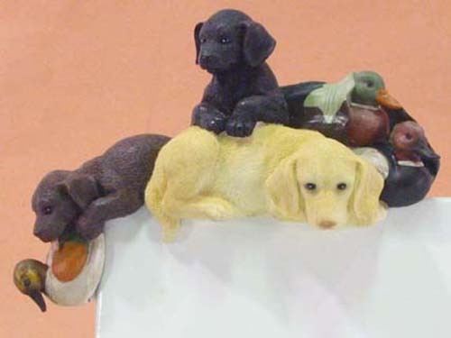 Labrador retriever hund - retriever,