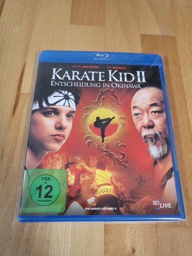 Karate kid entscheidung - entscheidung, in