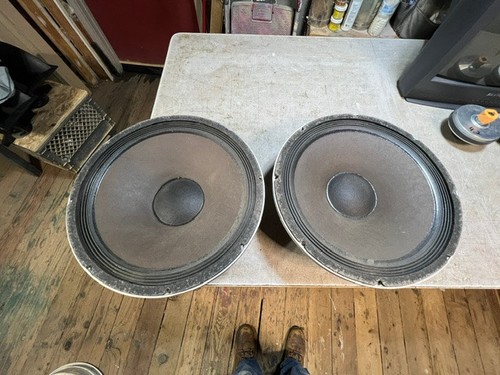 Peavey black widow - peavey,
