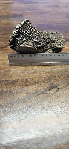 25kg hirsch geweih - 5,25kg,