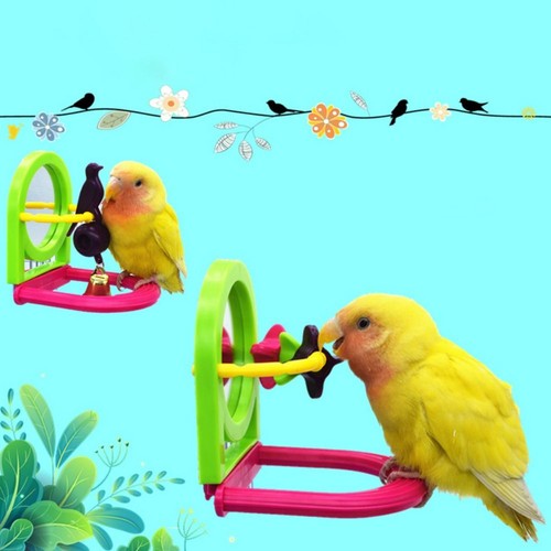 Vogelspiegel interaktiver