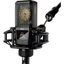 Lewitt ray xlr mikrofon - ray, neu