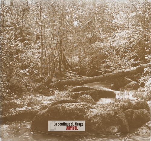 Waldstrom und umgestürzter - waldstrom,