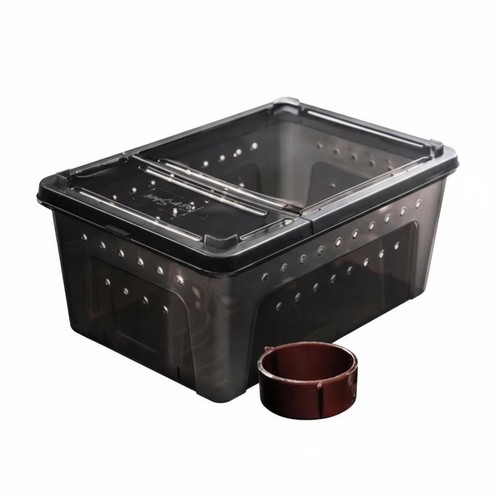 Reptilien aufzuchtbox doppelte - reptilien,