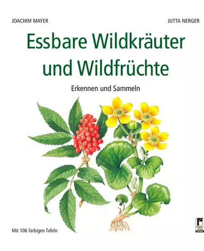 Essbare wildkräuter und - essbare,
