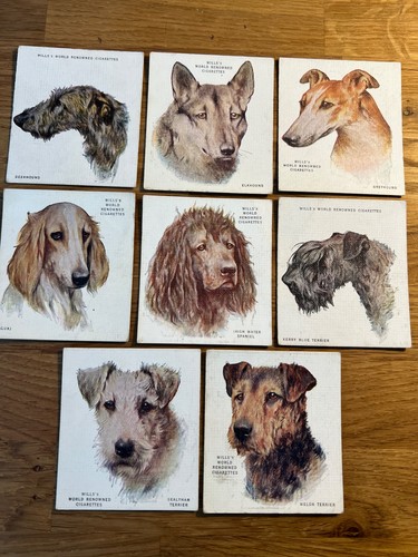 Wills hunde 1928 - wills,