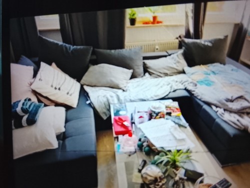 Liegesofa mit kissen 2 - liegesofa,
