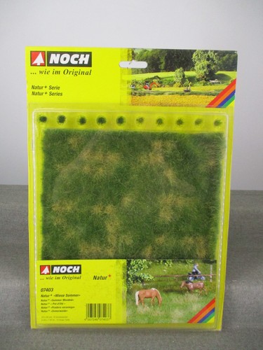 Noch 07403 natur wiese sommer - 07403,