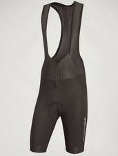 Endura FS260-Pro Thermo