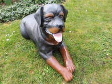 Rottweiler lebensgroß liegend