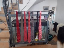 krawatten sammlung  3 x Robin