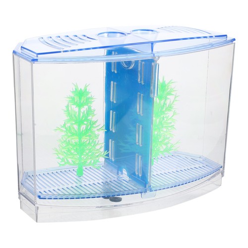Betta aquarium klares - betta-aquarium,
