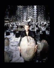 Alien (1979) H.R. Giger 16x12