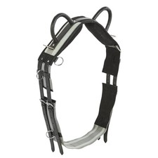 BUSSE Schwarz Shetty