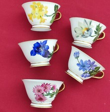 Tasse K &A Krautheim 5 verschiedene kleine Tassen. Porzellanmalerei Flora.