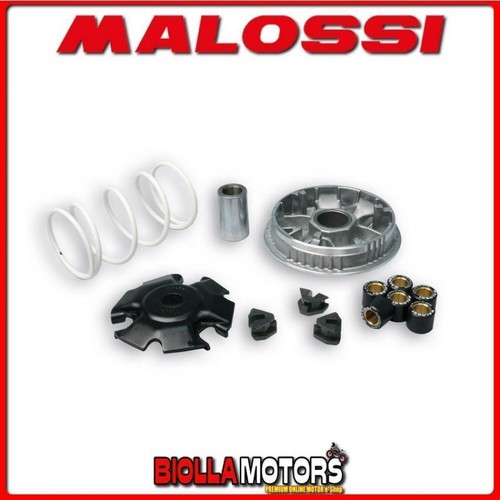 5111594 variomatik malossi - 5111594,