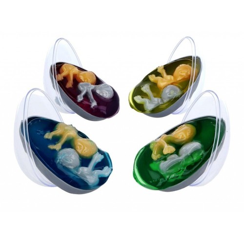 Zwilling baby alien ei - x,